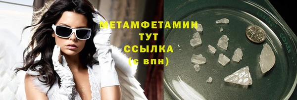 твердый Гусев