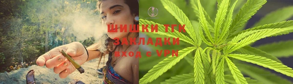 твердый Гусев