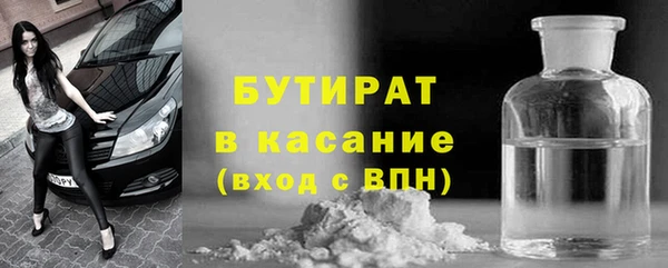 твердый Гусев
