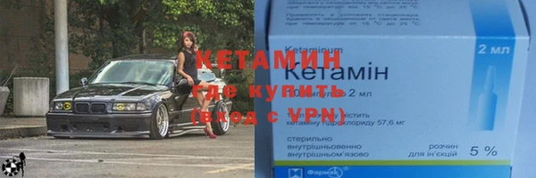 твердый Гусев
