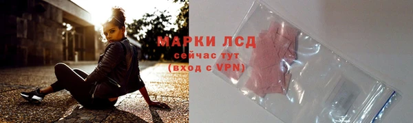 твердый Гусев