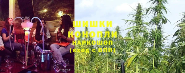 твердый Гусев
