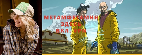твердый Гусев