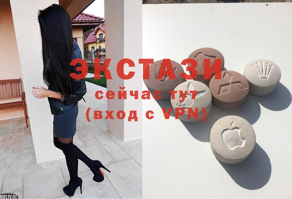 твердый Гусев